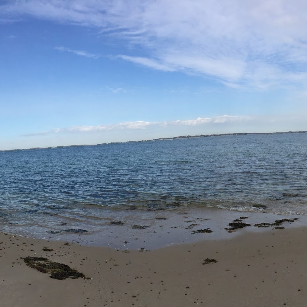 Meet your Posher, Asha